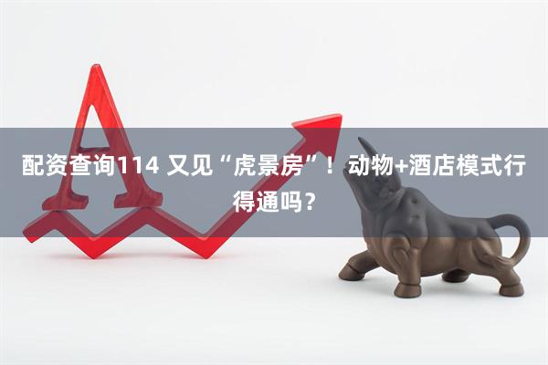配资查询114 又见“虎景房”！动物+酒店模式行得通吗？